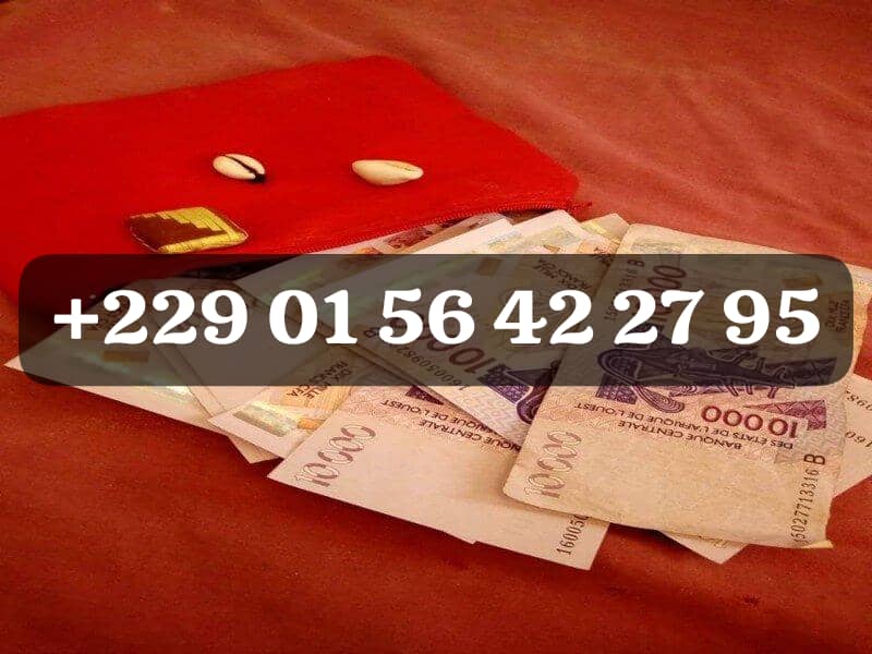+229 01 56 42 27 95 Marabout Multiplication d