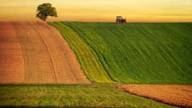 RECRUTEMENT ATDA A travers le projet agricole de production de fruits et de légumes biologiques ,la provence d