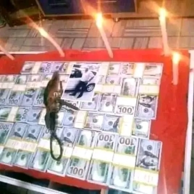 TÉMOIGNAGE DU PORTEFEUILLE MAGIQUE SANS CONSÉQUENCE  +229 60 66 37 82    whatsapp SALUT TOUT LE MONDE JE SUIS LE GRAND MAITRE MARABOUT dossou Sakpata Contact :   +229 60 66 37 82      Où whatsapp disponible   *Le grand maître spirituel le voyant dossou Sakpata peux intervenir dans tous les domaines qui suit* :  * *Portefeuilles magiques qui produit l